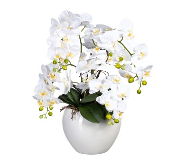 60 Kunstpflanze lila, bei | Orchidee cm Wohnfuehlidee