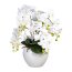 Kunstpflanze Phalenopsis (Orchidee), Farbe weiß, inkl. weißem Keramik-Topf, Höhe ca. 56 cm