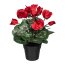 Kunstpflanze Alpenveilchen, Farbe rubinrot, im Kunststoff-Topf, Höhe ca. 30 cm