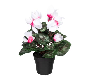 Kunstpflanze Alpenveilchen, Farbe weiß / pink, im...