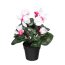 Kunstpflanze Alpenveilchen, Farbe weiß / pink, im Kunststoff-Topf, Höhe ca. 30 cm