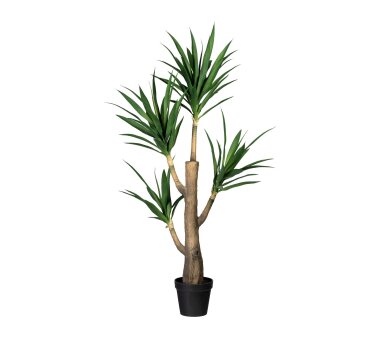 Kunstpflanze Buchs-Kugelbaum, grün, Naturstamm, inklusive Kunststoff-Topf,  Höhe ca. 80 cm online kaufen