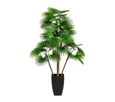 Kunstpflanze Fächer-Palme grün, im...