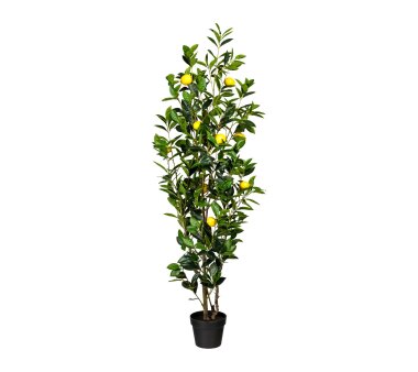Kunstpflanze Zitronenbaum grün / gelb, 8...
