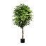 Kunstpflanze Ficus Benjamini grün, 2016 Blätter, Naturstamm, im Topf, Höhe ca. 180 cm