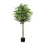 Kunstpflanze Ficus Benjamini grün, 1008 Blätter, Naturstamm, im Topf, Höhe ca. 180 cm