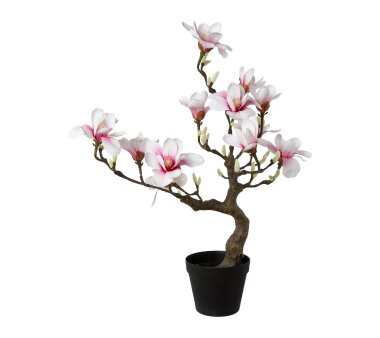 Kunstpflanze Magnolienbaum rosa, im Kunststoff-Topf,...