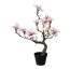Kunstpflanze Magnolienbaum rosa, im Kunststoff-Topf, Höhe ca. 71 cm