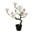 Kunstpflanze Magnolienbaum weiß, im Kunststoff-Topf, Höhe ca. 71 cm