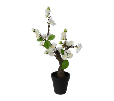 Kunstpflanze Bonsai Kirschblüten, 2er Set, mit...