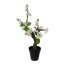 Kunstpflanze Bonsai Kirschblüten, 2er Set, mit Kunststoff-Topf, Höhe ca. 32 cm