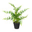 Kunstpflanze Japanischer Farn, Farbe grün, Inklusive Kunstsstoff-Topf,  Höhe ca. 40 cm