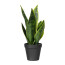 Kunstpflanze Sanseveria 8 Blätter, Farbe grün, Inklusive Kunstsstoff-Topf,  Höhe ca. 33 cm