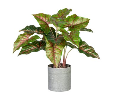 Kunstpflanze Taropflanze, Farbe grün-rot, Inklusive...