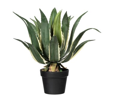 Kunstpflanze Agave, grün, inklusive Kunststoff-Topf, Höhe ca. 36 cm online  kaufen | Kunstpalmen