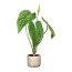 Kunstpflanze Anthurie, Farbe grün, inklusive Zement-Topf,  Höhe ca. 60 cm