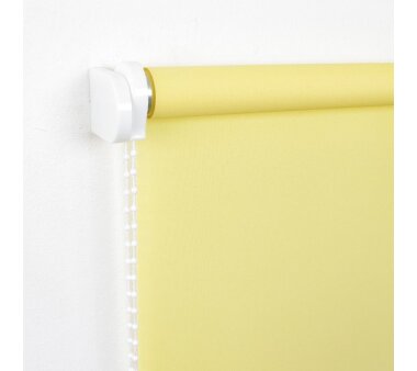 LIEDECO Seitenzugrollo Uni-Tageslicht 102 x 240 cm Fb. gelb