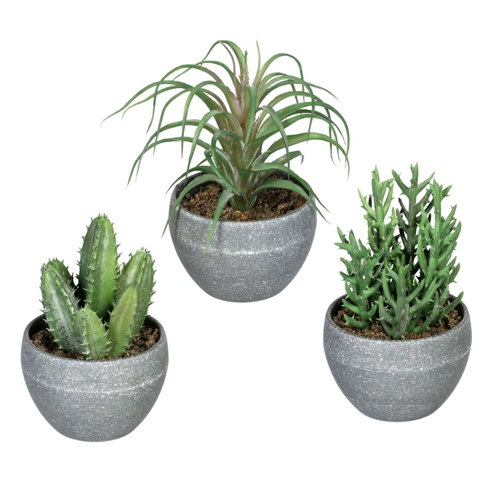 URPIZY Künstliche Pflanzen mit Töpfen Künstliche Sukkulenten Gefälschte  Kaktus Deko Künstliche Kaktus Pflanzen im Topf