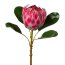 Kunstpflanze Königsprotea, Farbe rosa, Höhe ca. 53 cm