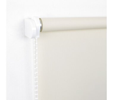 LIEDECO Seitenzugrollo Uni-Tageslicht 142 x 180 cm Fb. cream