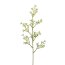 Kunstpflanze Jasminzweig, 12er Set, Farbe weiß, Höhe ca. 46 cm