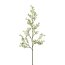 Kunstpflanze Jasminzweig, 4er Set, Farbe weiß, Höhe ca. 79 cm