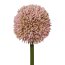 Kunstblume Allium, 3er Set, Farbe rosa, Höhe ca. 64 cm