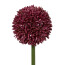Kunstblume Allium, 3er Set, Farbe erika, Höhe ca. 64 cm