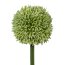 Kunstblume Allium, 3er Set, Farbe grün, Höhe ca. 64 cm