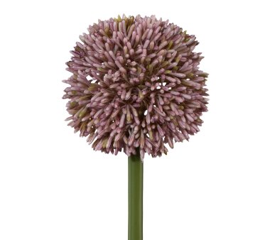 Kunstblume Allium, 3er Set, Farbe flieder, Höhe ca....