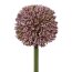 Kunstblume Allium, 3er Set, Farbe flieder, Höhe ca. 64 cm