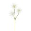 Kunstpflanze Distelzweig, 4er Set, Farbe weiß, Höhe ca. 47 cm