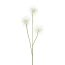 Kunstpflanze Distelzweig, 4er Set, Farbe weiß, Höhe ca. 82 cm