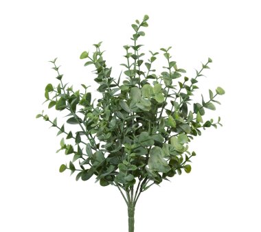 Kunstpflanze Eukalypthusbusch, 3er Set, Farbe grün,...
