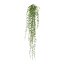 Kunstpflanze Senecioranke, 3er Set, Farbe grün, Höhe 72 cm