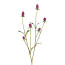 Kunstblume Gomphrena, 3er Set, Farbe lila, Höhe ca. 76 cm
