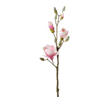 Kunstpflanze Magnolienzweig, 2er Set, Farbe rosa,...