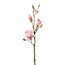 Kunstpflanze Magnolienzweig, 2er Set, Farbe rosa, Höhe ca. 84 cm