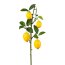 Kunstpflanze Zitronenzweig, Farbe gelb, Höhe ca. 68 cm