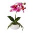 Kunstpflanze Phalenopsis (Orchidee), 2er Set, Farbe fuchsia, inkl. Keramikschale, Höhe ca. 27 cm