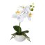 Kunstpflanze Phalenopsis (Orchidee), 2er Set, Farbe weiß, inkl. Keramikschale, Höhe ca. 27 cm