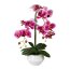 Kunstpflanze Phalenopsis (Orchidee), Farbe fuchsia, inkl. Keramiktopf, Höhe ca. 52 cm