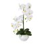 Kunstpflanze Phalenopsis (Orchidee), Farbe weiß, inkl. Keramiktopf, Höhe ca. 52 cm