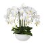 Kunstpflanze Phalenopsis (Orchidee), Farbe weiß, inkl. Keramikschale, Höhe ca. 54 cm