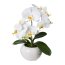 Kunstpflanze Phalenopsis (Orchidee), Farbe weiß, inkl. Keramiktopf, Höhe ca. 35 cm