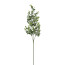 Kunstpflanze Eukalypthuszweig, 4er Set, Farbe grau, Höhe ca. 69 cm
