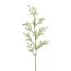 Kunstpflanze Sternblütenzweig, 6 er Set, Farbe weiß, Höhe ca. 59 cm