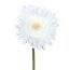 Kunstblume Gerbera, 12er Set, Farbe weiß, Höhe ca. 50 cm