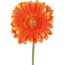 Kunstblume Gerbera, 12er Set, Farbe orange, Höhe ca. 50 cm