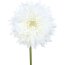 Kunstblume Gerbera gefüllt, 10er Set, Farbe weiß, Höhe ca. 60 cm